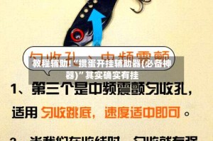 教程辅助!“掼蛋开挂辅助器(必备神器)”其实确实有挂