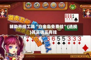 辅助开挂工具“白金岛免费挂”(透视)其实确实有挂