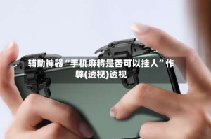 辅助神器“手机麻将是否可以挂人”作弊(透视)透视