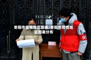 枣阳市疫情地区图表/枣阳市疫情地区图表分布