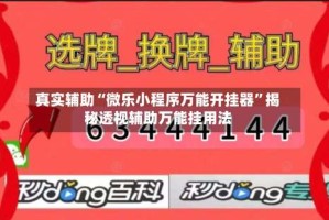 真实辅助“微乐小程序万能开挂器”揭秘透视辅助万能挂用法