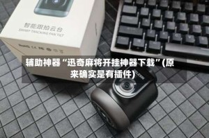 辅助神器“迅奇麻将开挂神器下载”(原来确实是有插件)