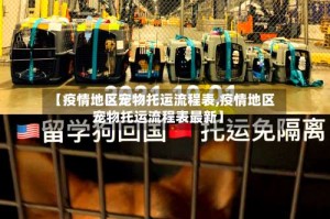 【疫情地区宠物托运流程表,疫情地区宠物托运流程表最新】