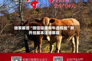 独家解答“微信链接牛牛透视挂”附开挂脚本详细教程