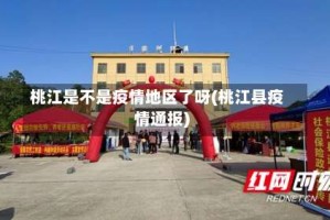 桃江是不是疫情地区了呀(桃江县疫情通报)