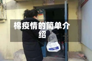 棉疫情的简单介绍
