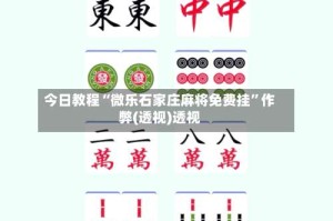 今日教程“微乐石家庄麻将免费挂”作弊(透视)透视