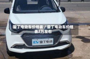 雷丁电动车价格表／雷丁电动车价格表2万左右