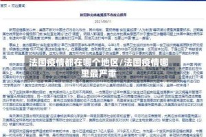 法国疫情都在哪个地区/法国疫情哪里最严重