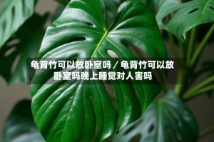 龟背竹可以放卧室吗／龟背竹可以放卧室吗晚上睡觉对人害吗