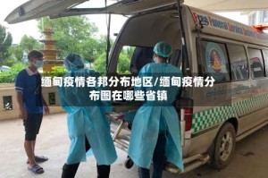 缅甸疫情各邦分布地区/缅甸疫情分布图在哪些省镇