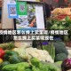 疫情地区怎么线上买菜呢/疫情地区怎么线上买菜呢现在