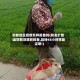 邯郸地区疫情怎样报备的(转发扩散!返邯郸须提前报备,且持48小时核酸证明!)