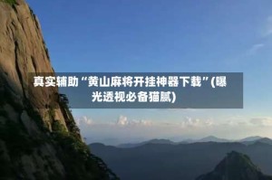 真实辅助“黄山麻将开挂神器下载”(曝光透视必备猫腻)