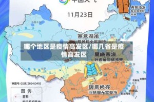 哪个地区是疫情高发区/哪几省是疫情高发区