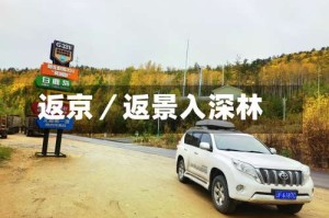 返京／返景入深林