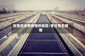 在枣庄没有疫情的地区/枣庄有无疫情