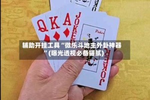 辅助开挂工具“微乐斗地主外卦神器”(曝光透视必备猫腻)