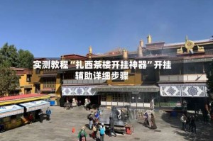 实测教程“扎西茶楼开挂神器”开挂辅助详细步骤