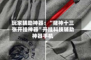 玩家辅助神器：“赌神十三张开挂神器”开挂科技辅助神器手机