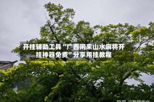 开挂辅助工具“广西闲来山水麻将开挂神器免费”分享用挂教程