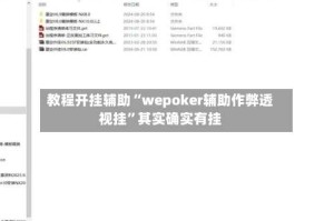 教程开挂辅助“wepoker辅助作弊透视挂”其实确实有挂