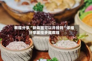 教程分享“新麻圈可以开挂吗”详细分享装挂步骤教程