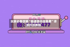 玩家必备攻略“新道游开挂免费”详细开挂教程