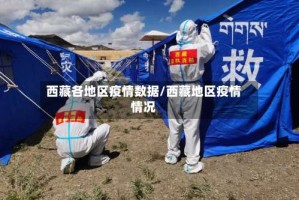 西藏各地区疫情数据/西藏地区疫情情况