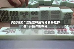 真实辅助“微乐吉林麻将免费开挂神器”开挂详细教程