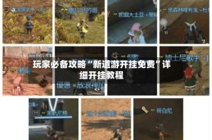 玩家必备攻略“新道游开挂免费”详细开挂教程