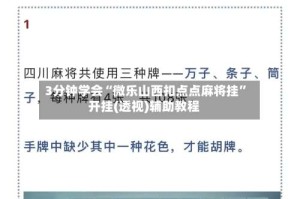 3分钟学会“微乐山西扣点点麻将挂”开挂(透视)辅助教程