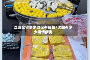 沈阳全省多少地区有疫情/沈阳有多少疫情病例