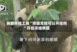 辅助开挂工具“熊猫竞技可以开挂吗”开挂详细教程