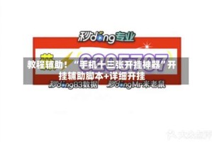 教程辅助！“手机十三张开挂神器”开挂辅助脚本+详细开挂