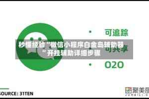 秒懂经验“微信小程序白金岛辅助器”开挂辅助详细步骤