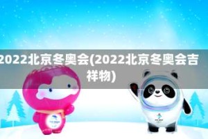 2022北京冬奥会(2022北京冬奥会吉祥物)