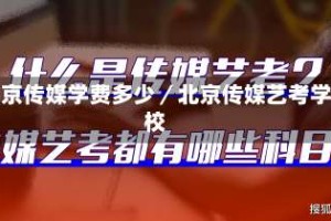 北京传媒学费多少／北京传媒艺考学校