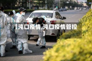 【沌口疫情,沌口疫情管控】
