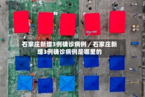 石家庄新增3例确诊病例／石家庄新增3例确诊病例是哪里的