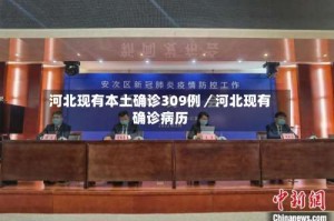 河北现有本土确诊309例／河北现有确诊病历