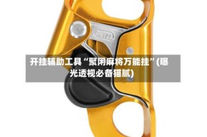 开挂辅助工具“聚闲麻将万能挂”(曝光透视必备猫腻)