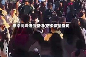 感染高峰进度查询(感染数量查询)