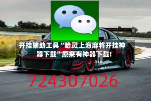 开挂辅助工具“哈灵上海麻将开挂神器下载”原来有神器下载!