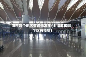 浦东哪个地区有疫情发生(上海浦东哪个区有疫情)