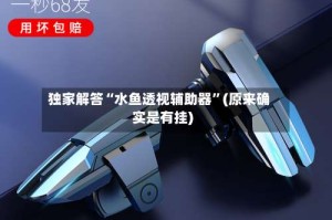 独家解答“水鱼透视辅助器”(原来确实是有挂)