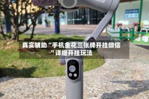 真实辅助“手机金花三张牌开挂微信”详细开挂玩法