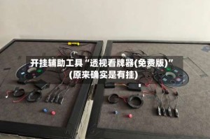 开挂辅助工具“透视看牌器(免费版)”(原来确实是有挂)