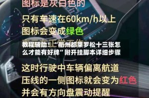 教程辅助！“衢州都莱罗松十三张怎么才能有好牌”附开挂脚本详细步骤