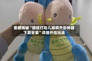 重磅揭秘“微信打哈儿麻将外卦神器下载安装”详细开挂玩法